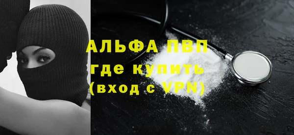 гидра Богородицк