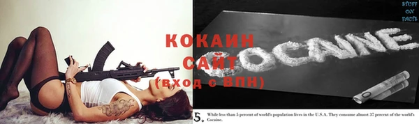шишки Богданович