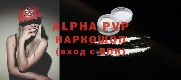 гидра Богородицк