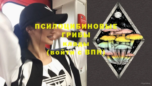 гидра Богородицк