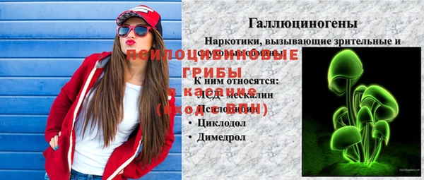 шишки Богданович