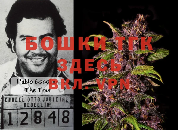 гидра Богородицк