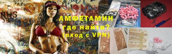 гидра Богородицк