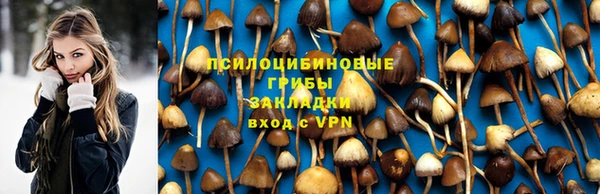 гидра Богородицк