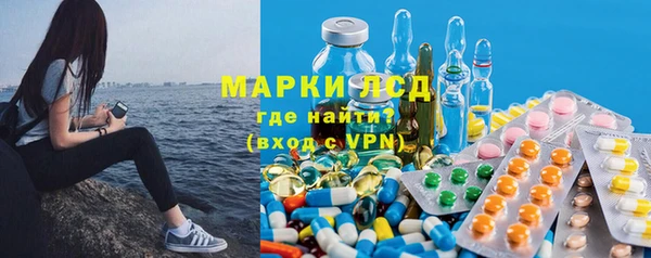 гидра Богородицк