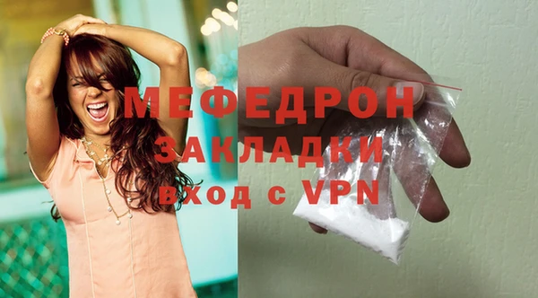 гидра Богородицк
