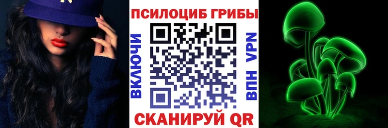 Псилоцибиновые грибы Psilocybine cubensis  Купить где  Конаково 
